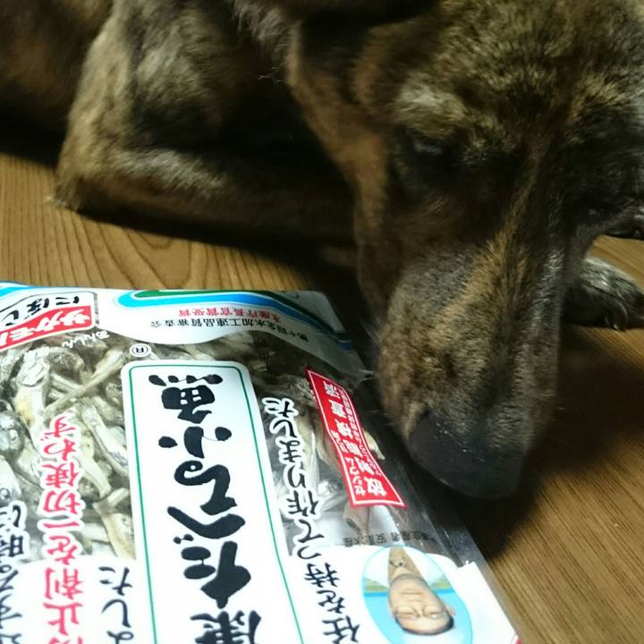 Cdc79ee9 8caf 4bc3 a8bc 71e171efdfbd