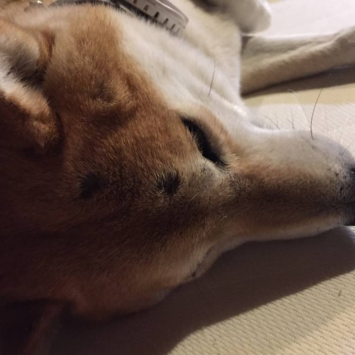 Cdc843db 42df 4b69 b918 d4d1e4378f5e