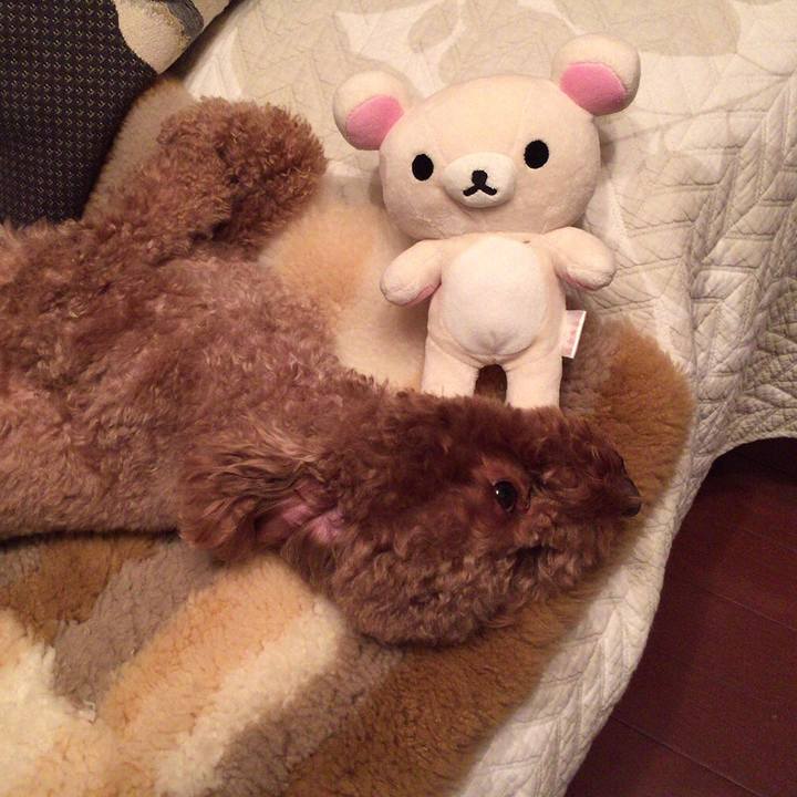 Cdc85c30 802a 4d0f b6e5 4866a3993a98