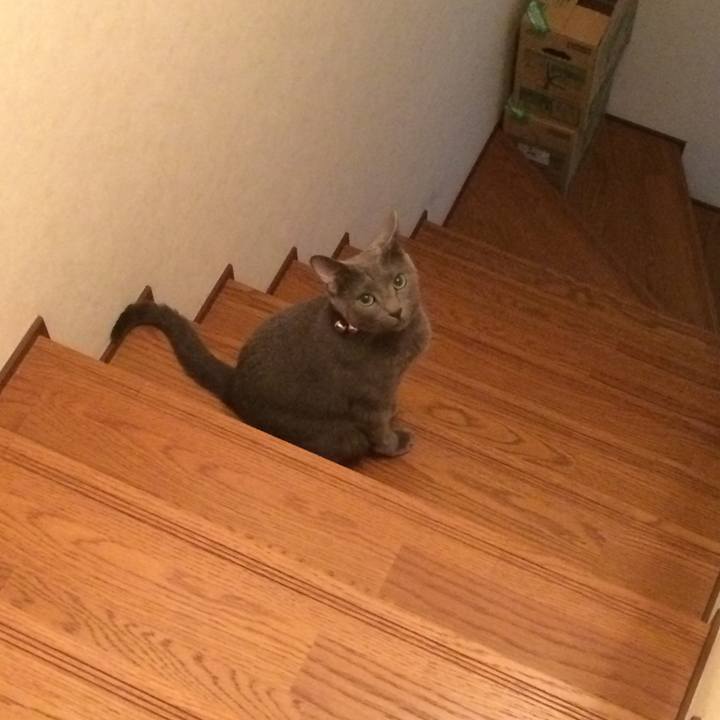 Cdc8b8dd 246c 45d2 8c73 176b9eab1d52