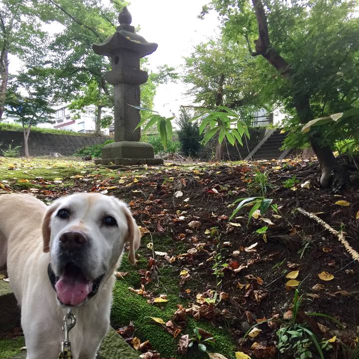 Cdca3bc0 f3e3 4ed4 8514 a56985e8ebac