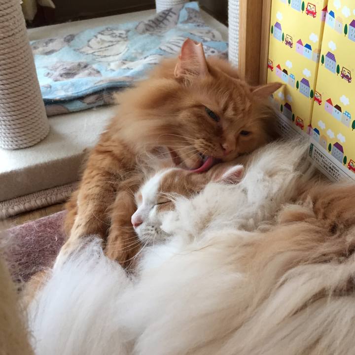 Cdca93c8 9e9f 4281 9232 1b479e9df895