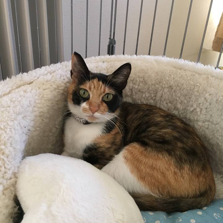 Cdcb0bf9 5cc9 4ab0 b4d6 b2528dd5675d