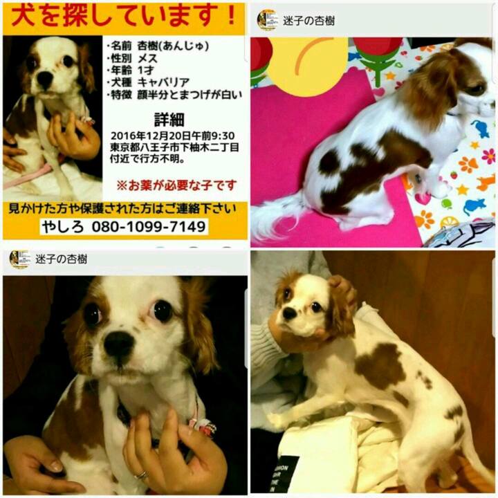 Cdcb92a5 51da 446d a5c7 364d6b699a0d