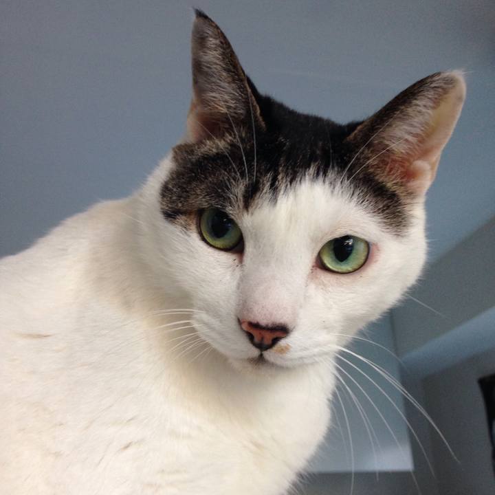 Cdcc2a2c 76bc 457b ac3e f127b0b1182b