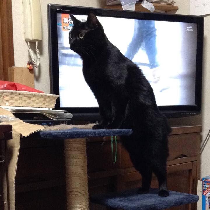 Cdcc34a8 dedb 4b2e 882e 1a85a263dd2e