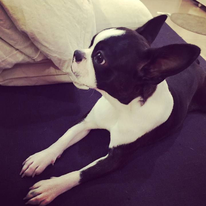 Cdcc92ce dae4 4c3c 8a84 a57ed11bdaf3