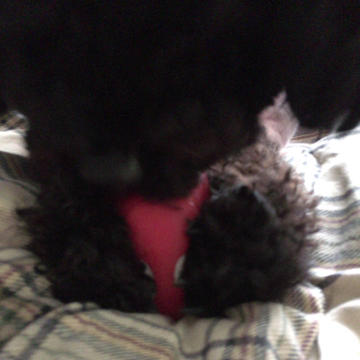 Cdcd064a 7d8e 4627 b394 5278067c5315