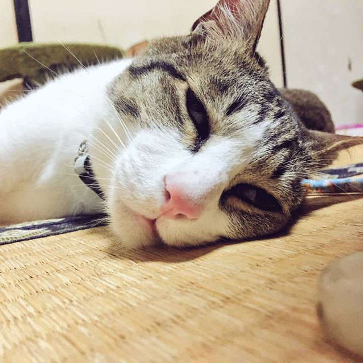 Cdcd0a59 f801 4f1f 88b9 11a9fe1e1d71