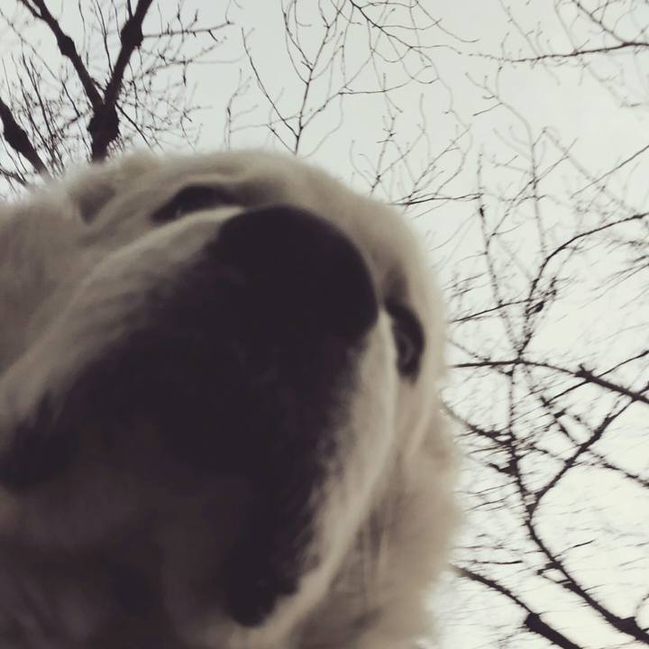 Cdcd49fa 8398 4a8d 9bef 42df0cf81a32