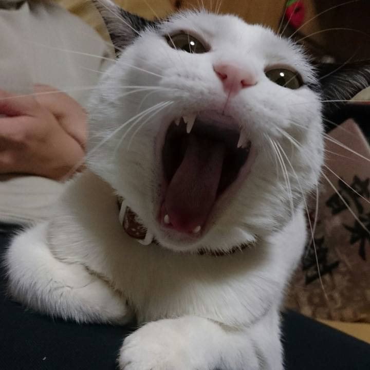 Cdcdd302 d530 4b04 9ced 93cafbe2c3ba