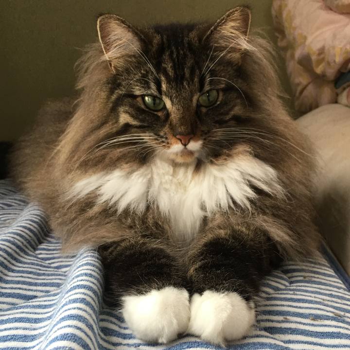 Cdce14b5 1c1d 47c0 ad4c ce43e5244688