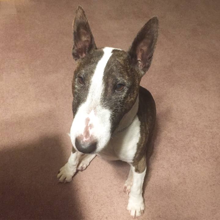 Cdce3fa0 7495 4c05 bce7 606bbad6e825