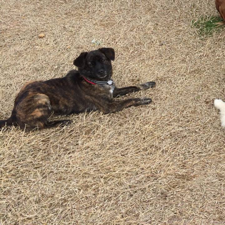 Cdce65ed 5d72 4832 87a9 241611bbe109