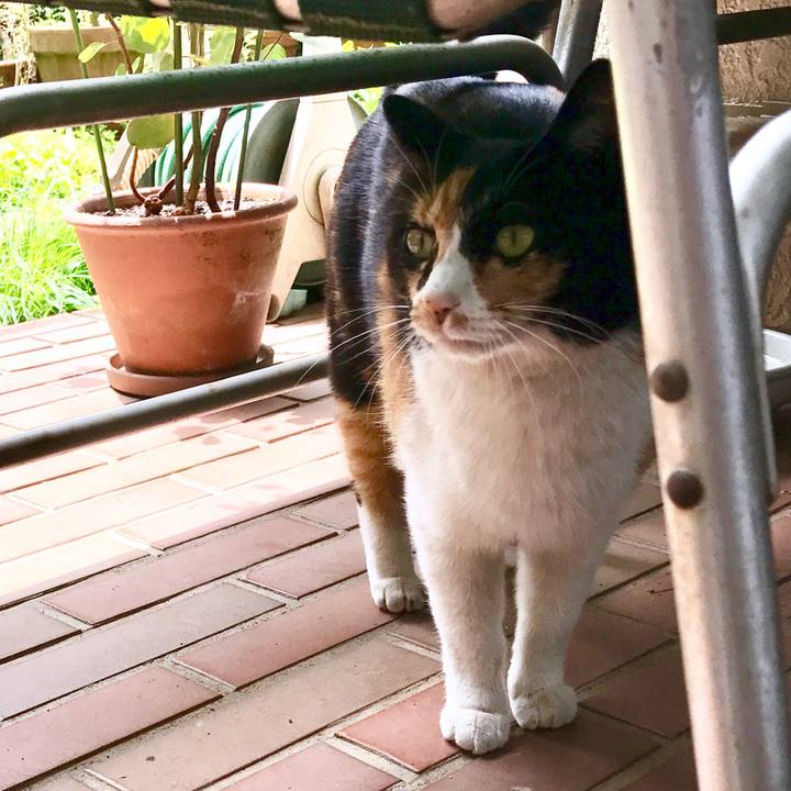 Cdcf2030 217e 48b8 a759 dd37bce2a43d