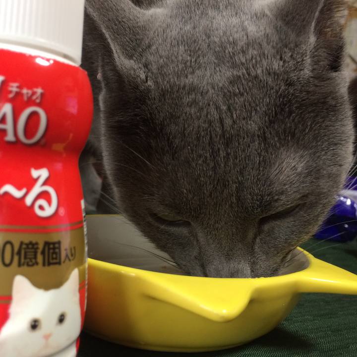 Cdcf85d9 3a22 4862 a8e8 e7bc3b42e809