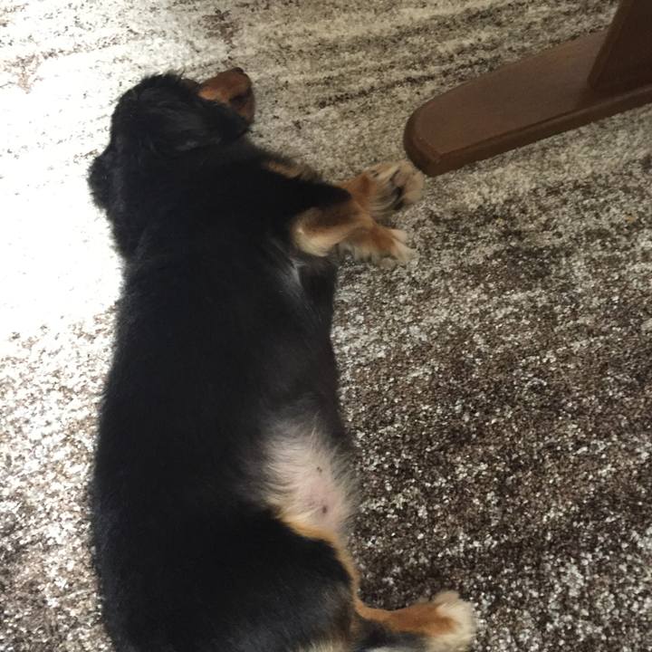 Cdcfeb2a 0239 4d18 ac70 3caa79ae0d7f