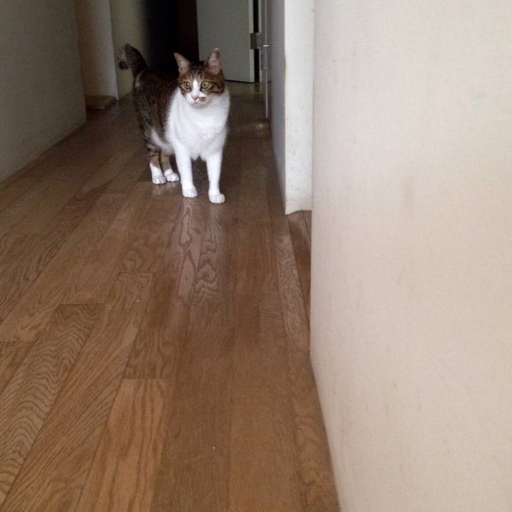 Cdcff709 c217 4379 9a08 0318f564d73d