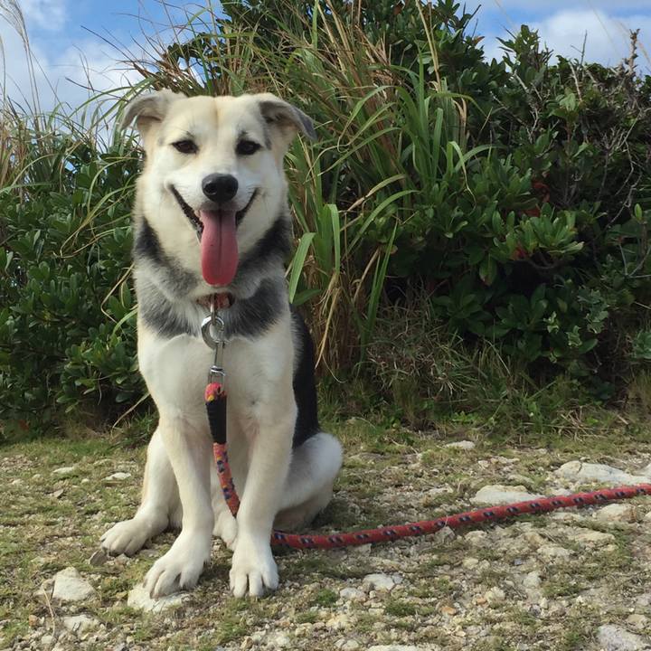 Cdd02b3f acf7 47de 9001 5267884614fa