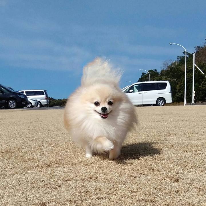 Cdd070ed 57ca 44fa a6ca b5d49722a59b