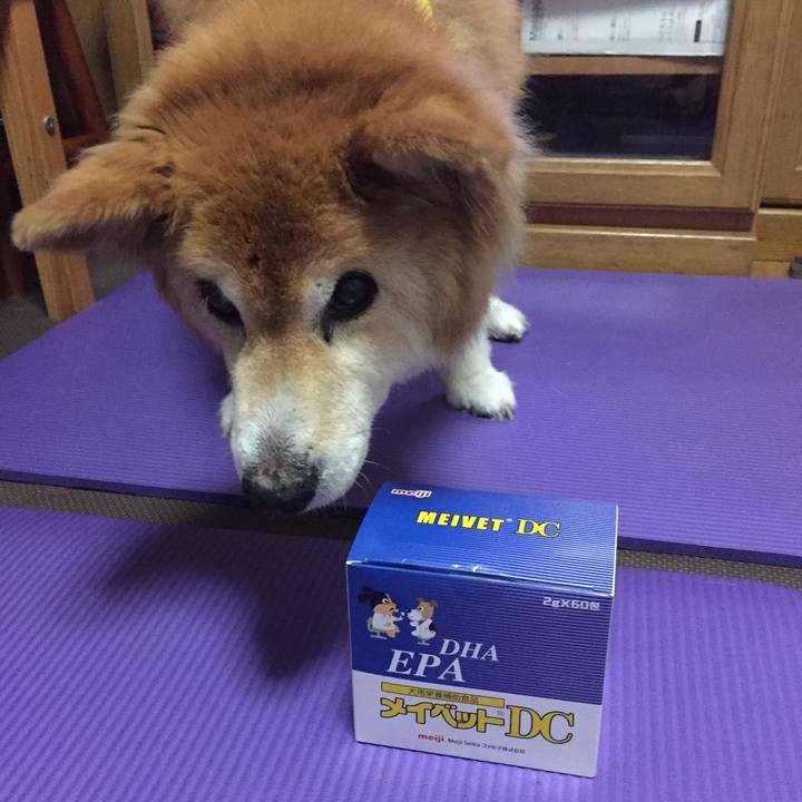 Cdd0726e d7a6 4387 b465 498ef72b86e3