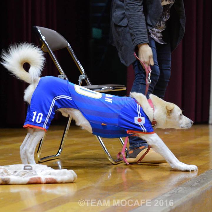 Cdd10b9f d0f8 4d77 8cf3 8bea53c20889