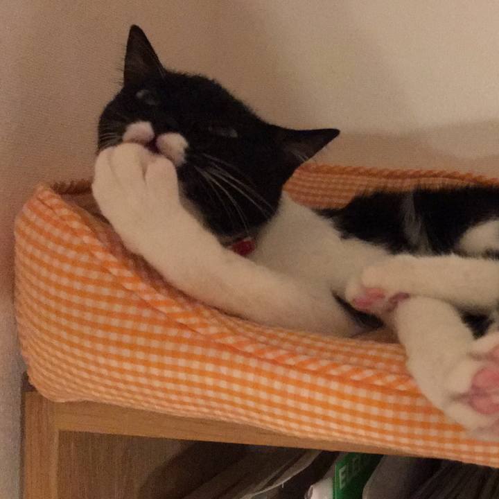 Cdd17bf5 bbff 4501 a9a5 ab791e4acd93