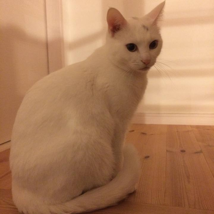 Cdd20080 eb3b 4c33 b07f 5294e5c71cc6