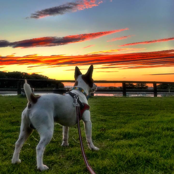 Cdd2914e c671 41f4 8c4d d14e2b275afe