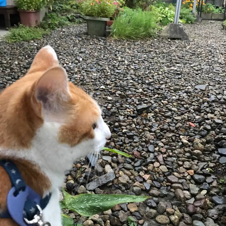 Cdd2b6f0 604a 4db4 9990 9caabbd9339e