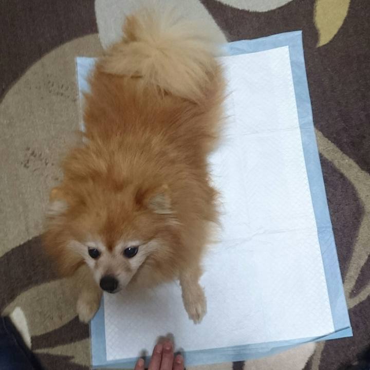 Cdd2ec25 25c2 49a2 b99e db92f6900a2f