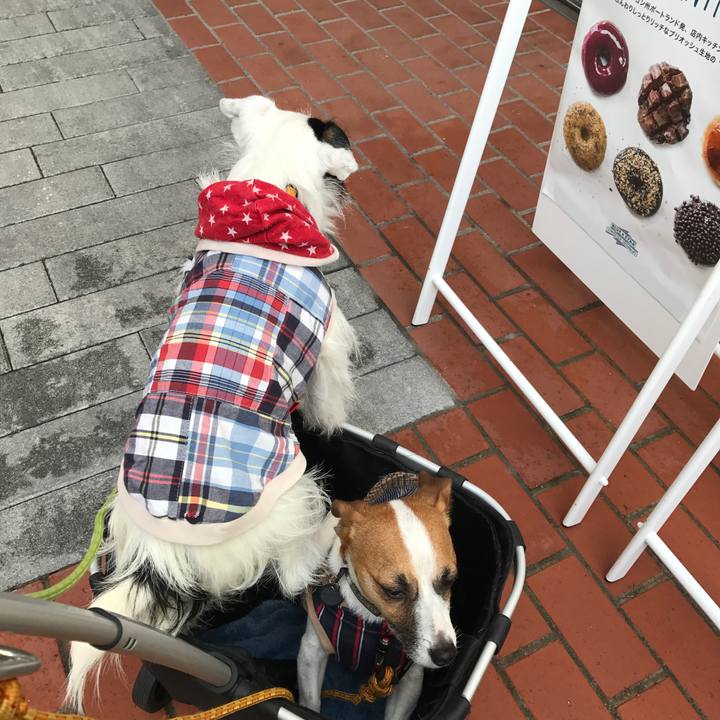 Cdd359c7 2799 482a 8472 40e1a2bbc32e