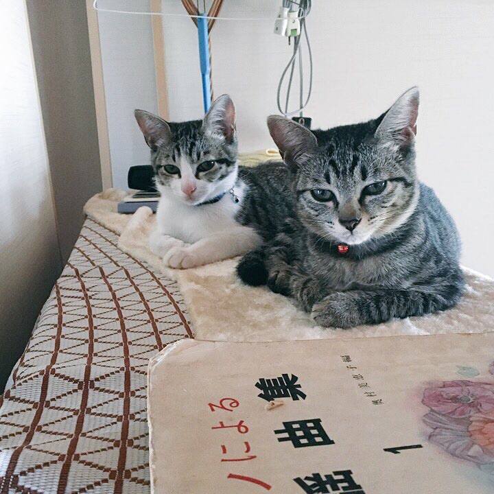 Cdd3ab0e 3bb1 4ddb ae11 1a07b419b886