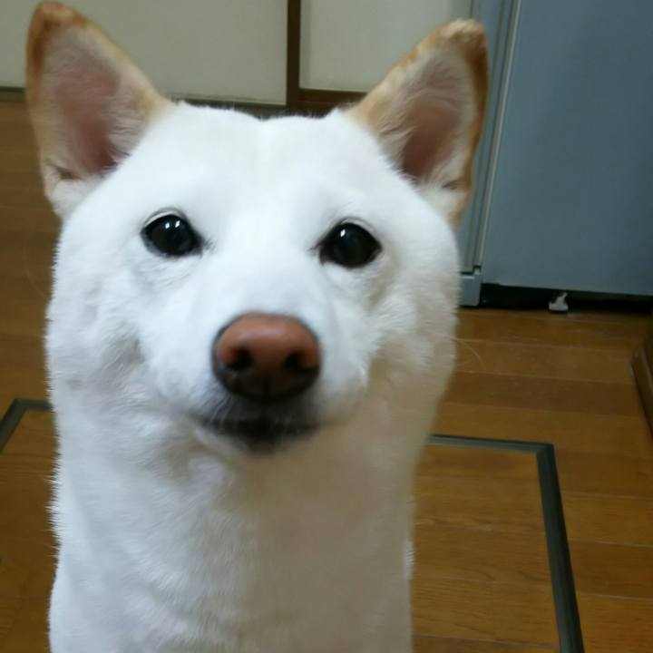 Cdd3fc14 d1ca 4006 83f1 1272c4fb7ed9