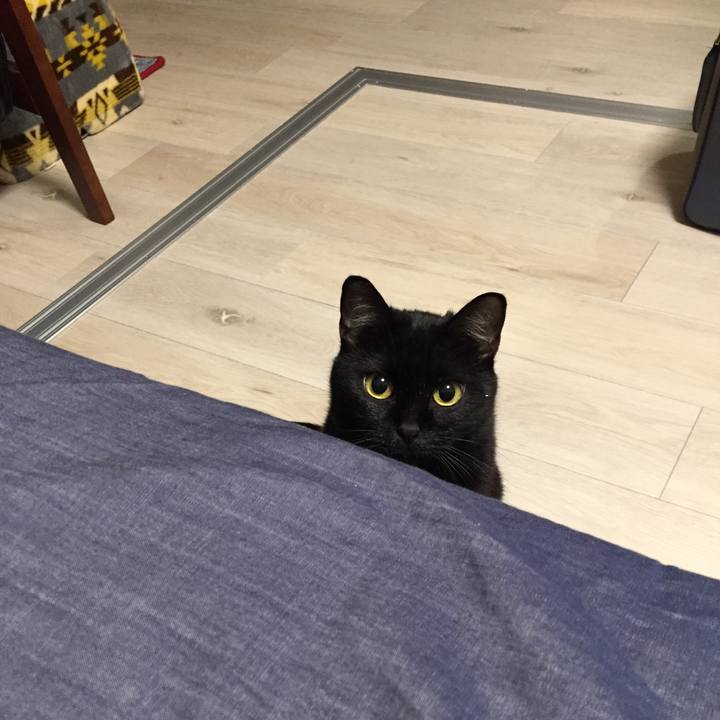 Cdd41914 032c 4c5f a70c dfd06dc71734