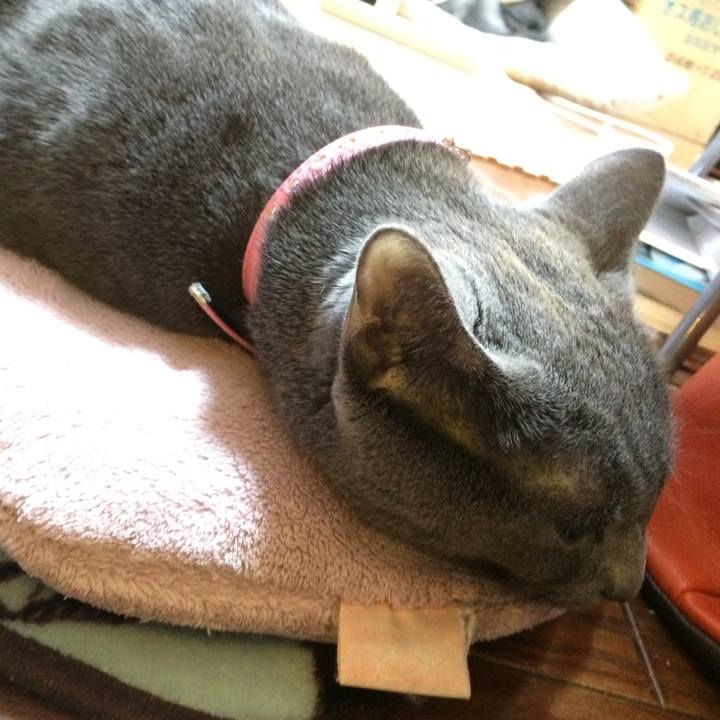 Cdd49d35 be85 49fe 8466 579ae562eb68