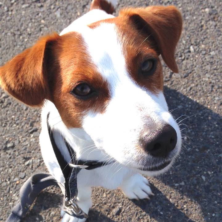 Cdd4d41a aecf 45fd a0d1 5cb4a545a9b9