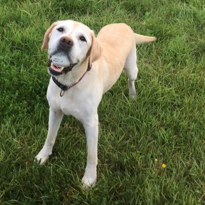 Cdd60e9d 132e 49d4 8d47 c75aa77af918