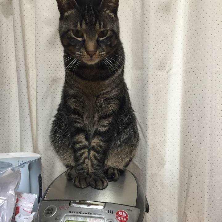 Cdd61048 fc39 4715 b9bb 3b322a5ff6f2