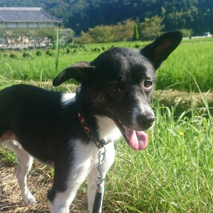 Cdd67196 6319 4e00 988b 881be3754092