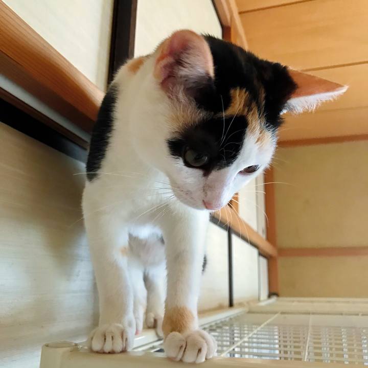 Cdd6b309 aa7e 4d2e b622 4329a4f7b9e9