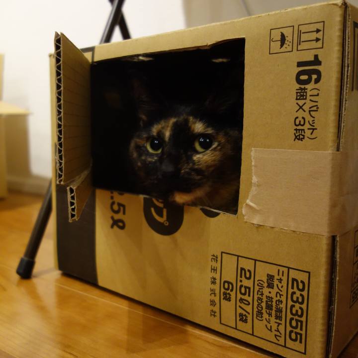 Cdd6d64e 85aa 4bf4 8fa1 25c7de3f6e94