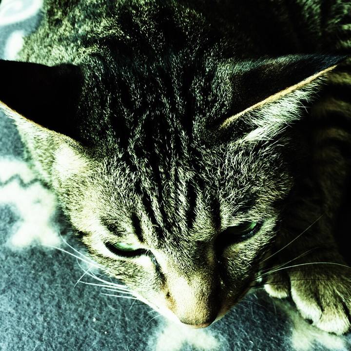 Cdd7169f 898e 4f4c a801 2bc111013204