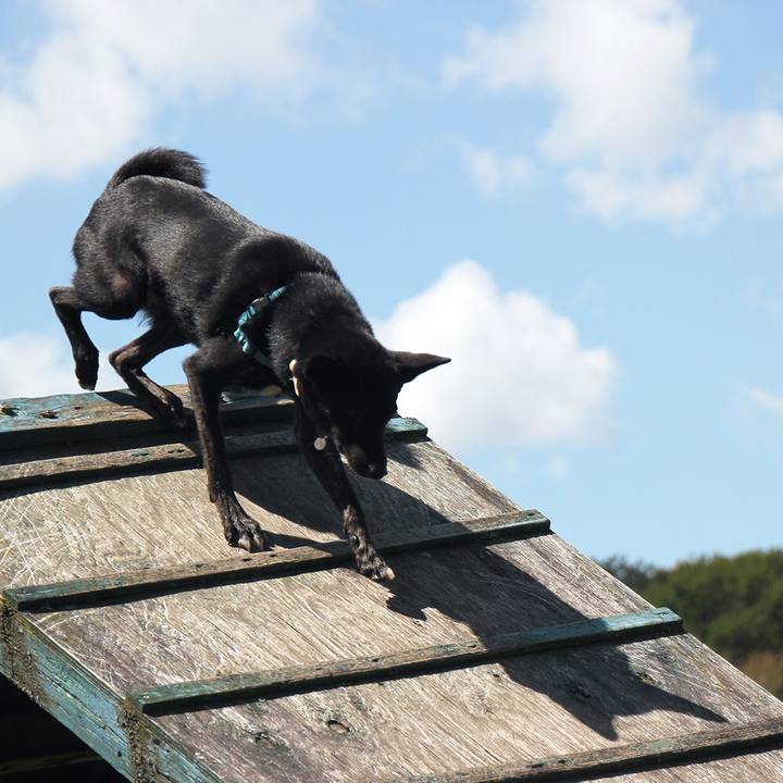 Cdd72971 afb2 4e2d a7f9 7cbd581649a8