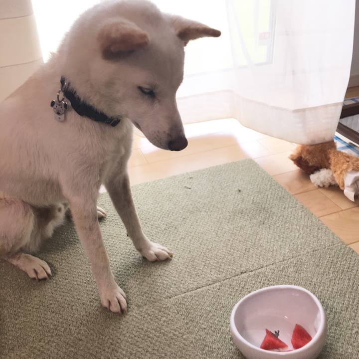 Cdd794a2 0635 4396 86ef 1b98ea55bdef