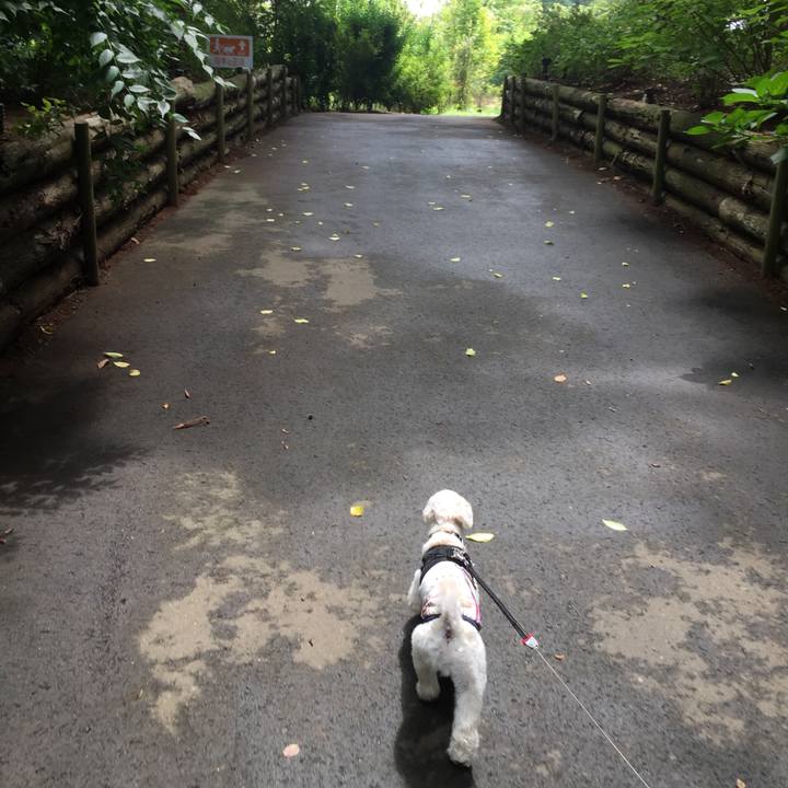 Cdd8503c cdf1 4ed1 b189 0128114f7bb5