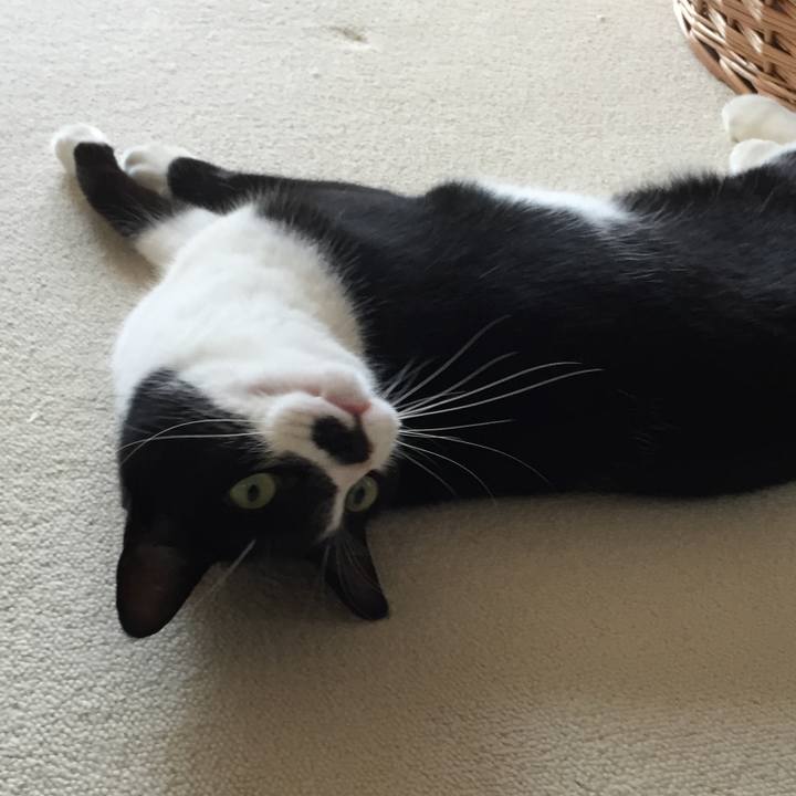 Cdd85105 12ea 4d41 bdde 30b749d31e88