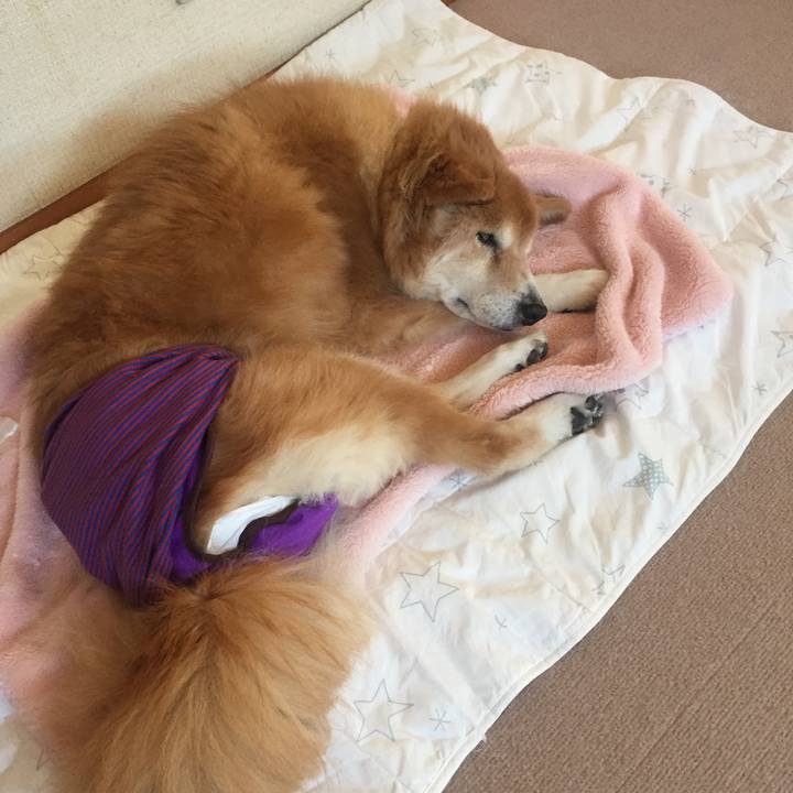 Cdd8a309 789a 44f2 b557 24062aa26d7e