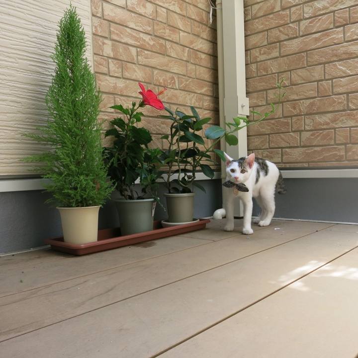 Cdd8ad24 8266 4d1f 9875 e3ba27a28ccc