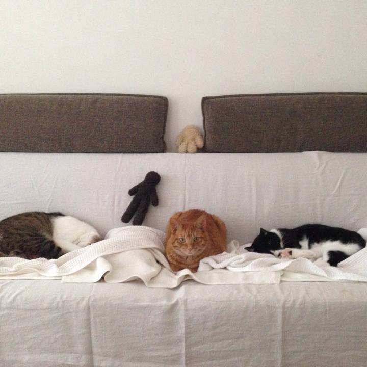 Cdd95af5 7097 45be 98f2 5ee3a9db6590